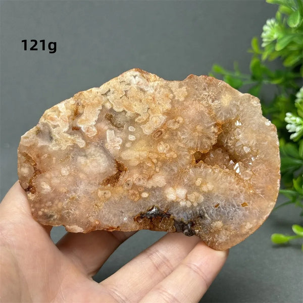 Red Cherry Blossom Agate-ToShay.org