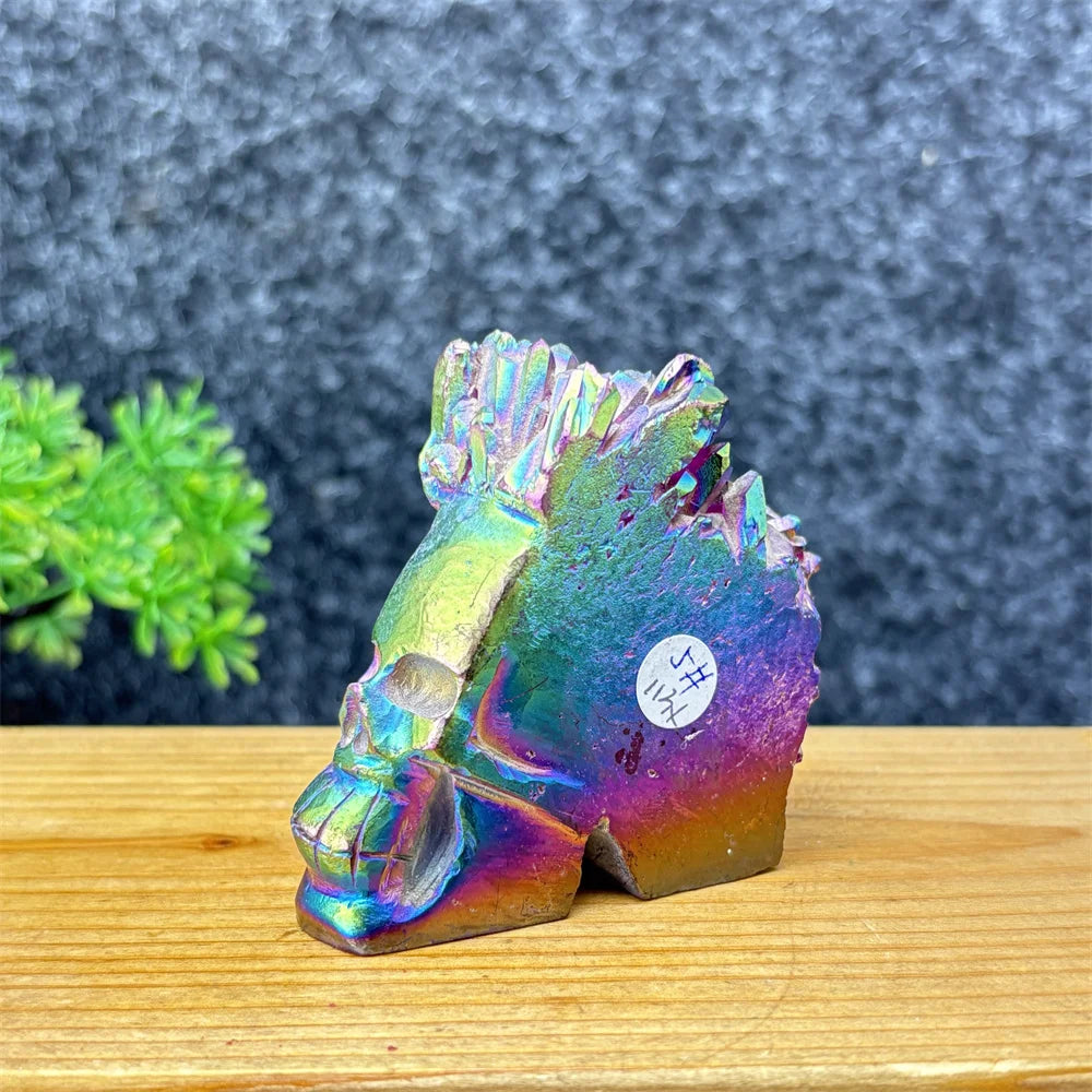 Rainbow Aura Skull Cluster-ToShay.org