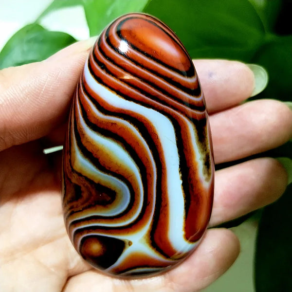 Red Lace Sardonyx Agate-ToShay.org