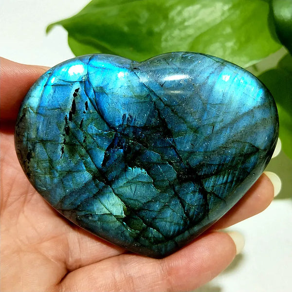 Blue Labrador Stone Heart-ToShay.org