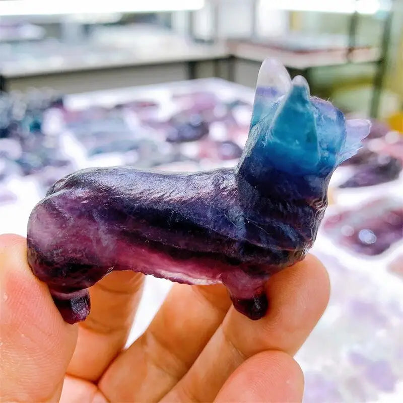 Purple Fluorite Dog-ToShay.org
