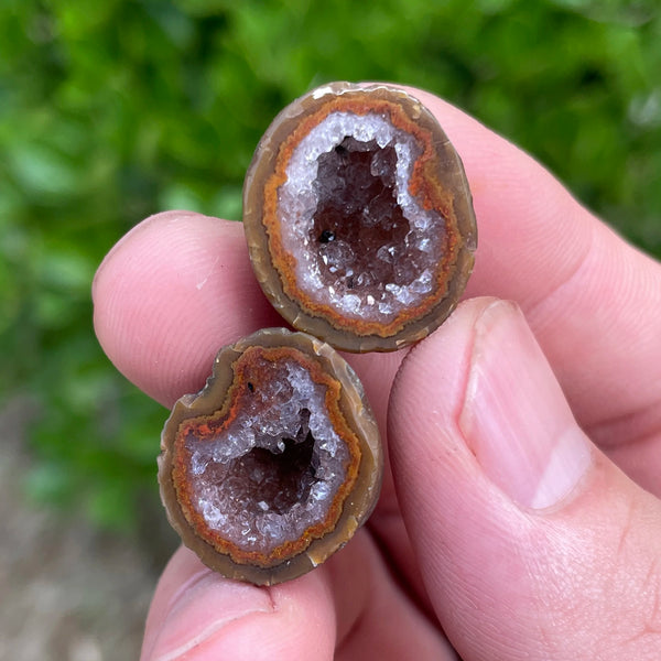 Red Sardonyx Geode Egg-ToShay.org