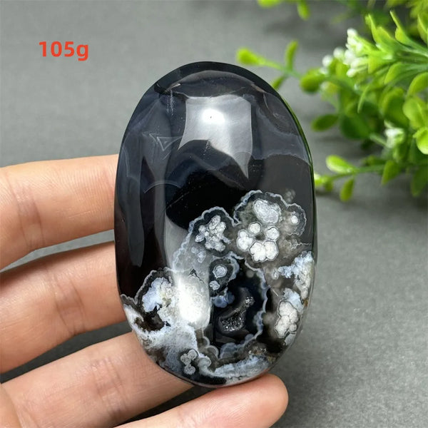 Black Cherry Blossom Agate-ToShay.org