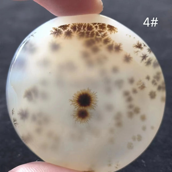 White Onyx Ocean Chalcedony-ToShay.org