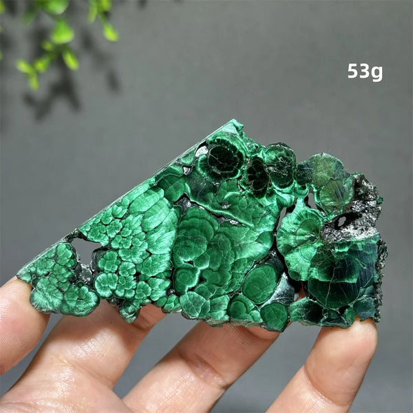 Green Malachite Slice-ToShay.org