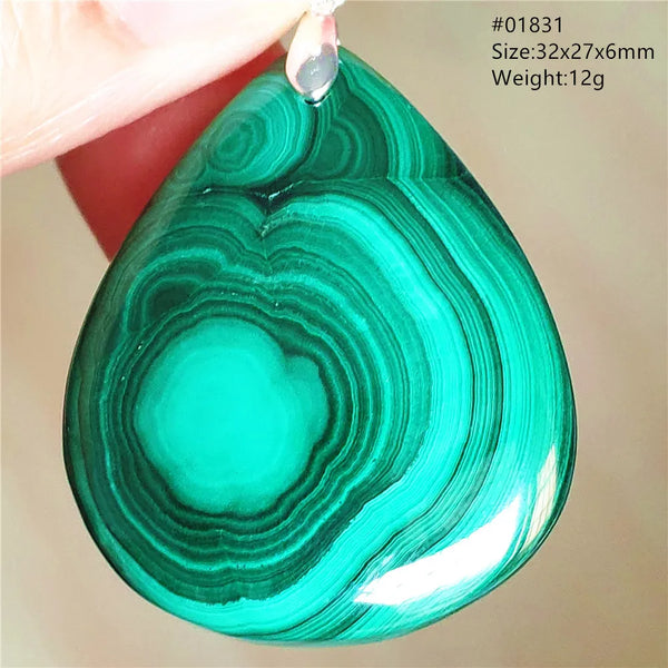 Green Malachite Pendant-ToShay.org