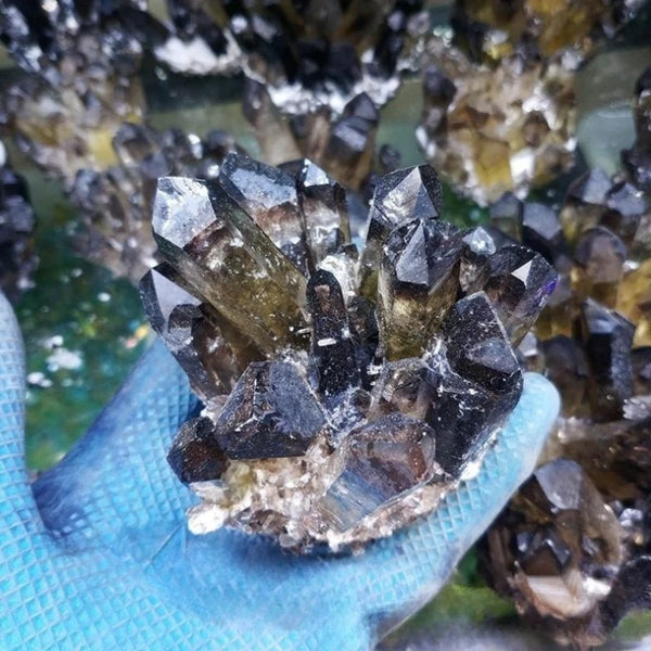 Black Tea Crystal Clusters-ToShay.org