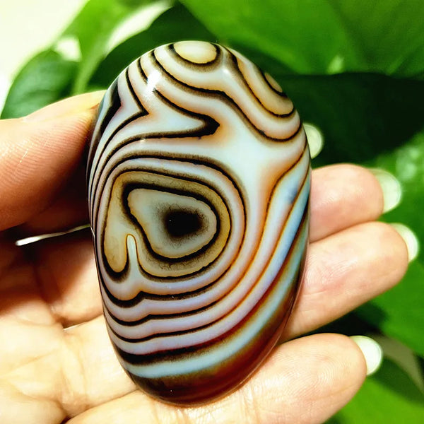 Red Lace Sardonyx Agate-ToShay.org