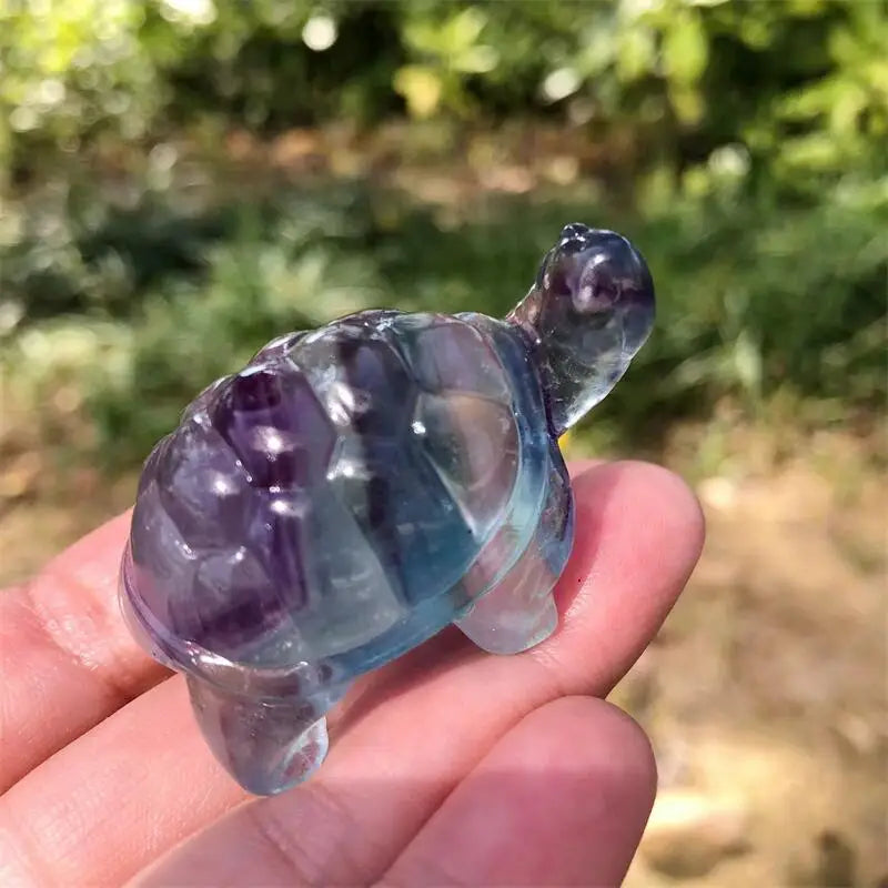 Rainbow Fluorite Turtle-ToShay.org