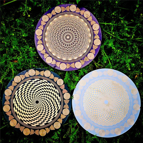 Circuit Board Polarizing Disk-ToShay.org