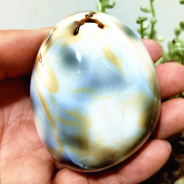 Mixed Lace Sardonyx Agate-ToShay.org