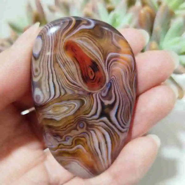 Red Sardonyx Lace Agate-ToShay.org