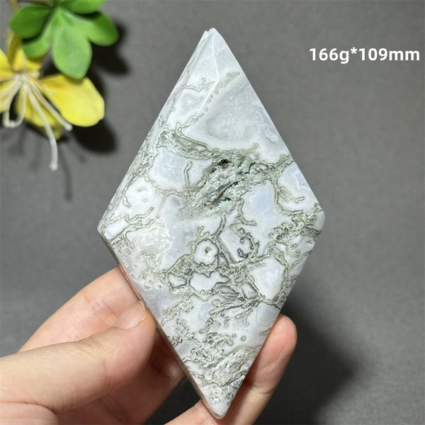 Green Aquatic Plant Agate-ToShay.org