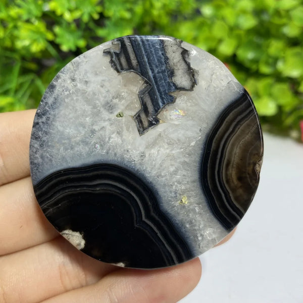 Black Agate Slice-ToShay.org