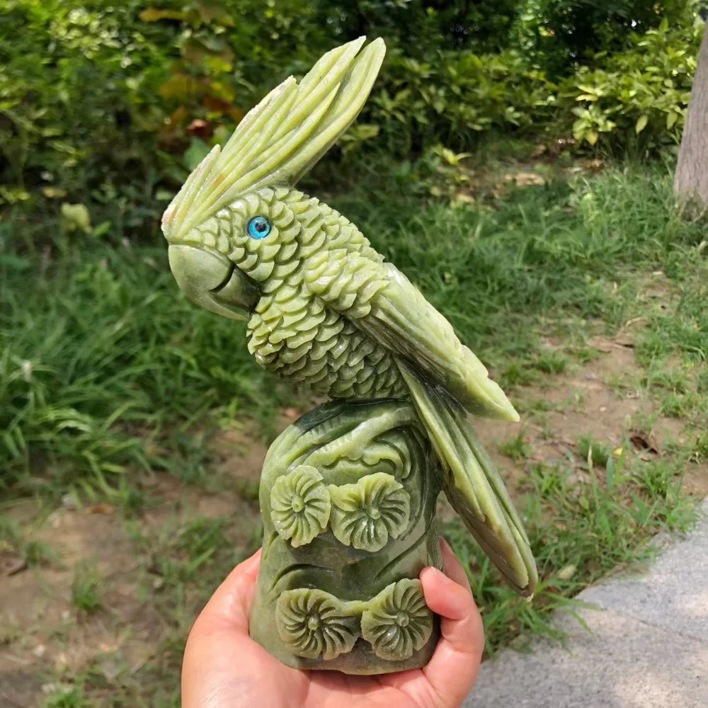 Green Jade Cockatiel Parrot-ToShay.org