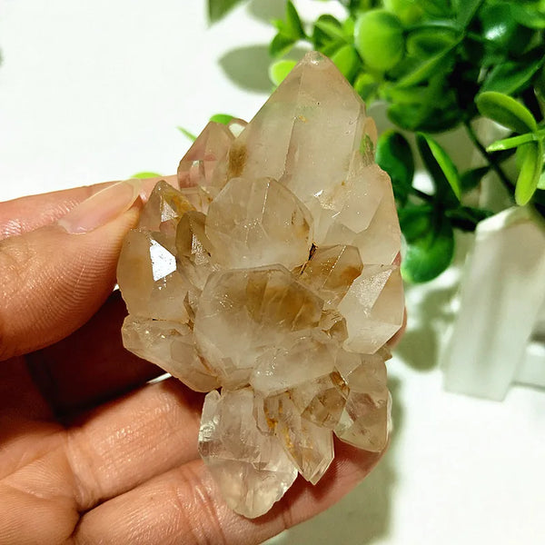 Yellow Crystal Clusters-ToShay.org