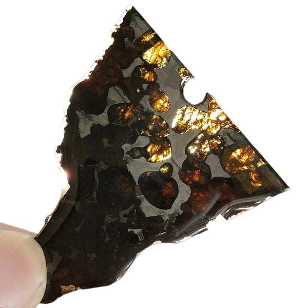 Olive Meteorite Slice-ToShay.org