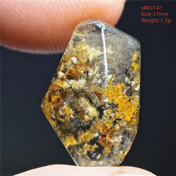 Gold Rutilated Quartz-ToShay.org