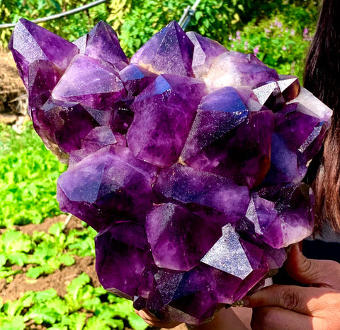 Purple Amethyst Cluster-ToShay.org