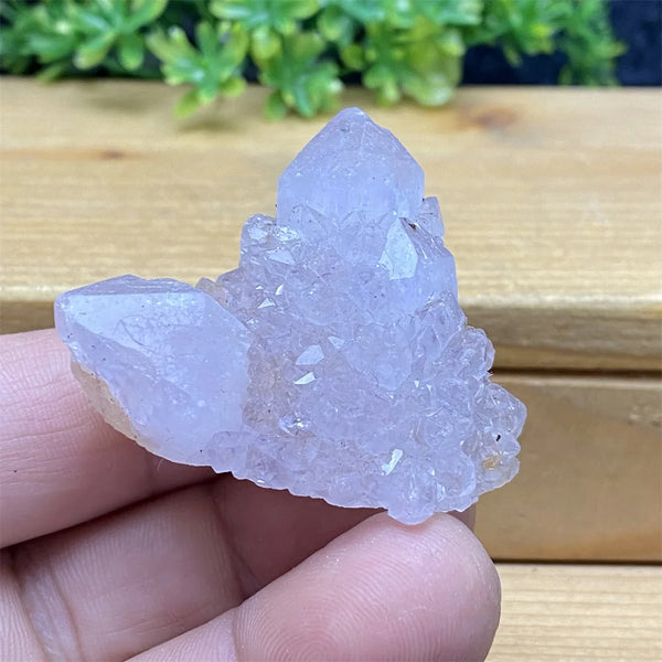Purple Cactus Crystal Cluster-ToShay.org