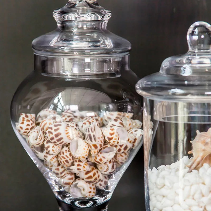 Clear Glass Candy Jar-ToShay.org