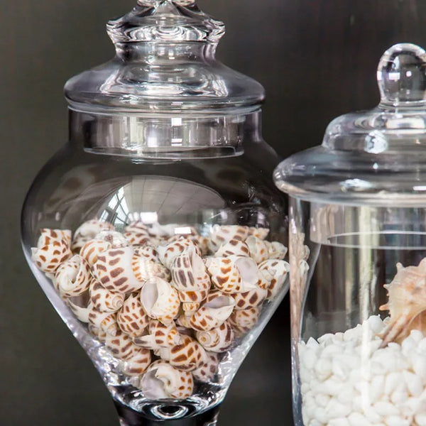Clear Glass Candy Jar-ToShay.org