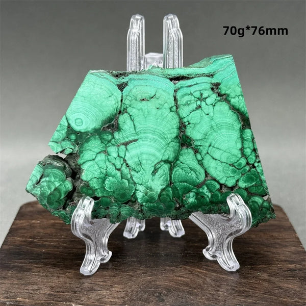 Green Malachite Raw Slice-ToShay.org