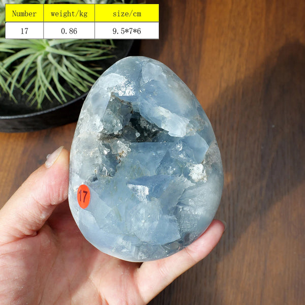 Blue Celestite Cluster Geode-ToShay.org