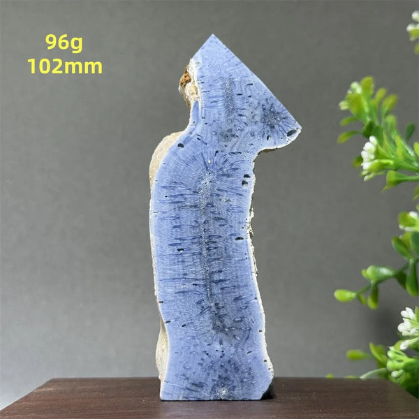 Blue Coral Crystal-ToShay.org