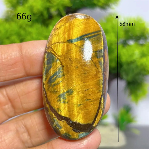 Blue Yellow Tiger Eye Stone-ToShay.org