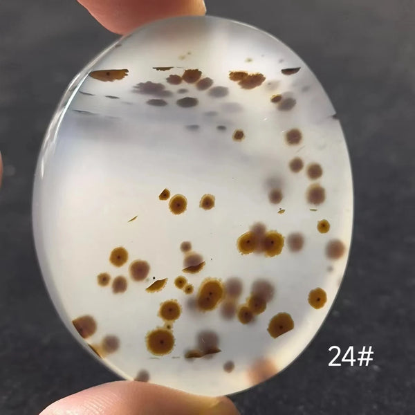 White Onyx Ocean Chalcedony-ToShay.org