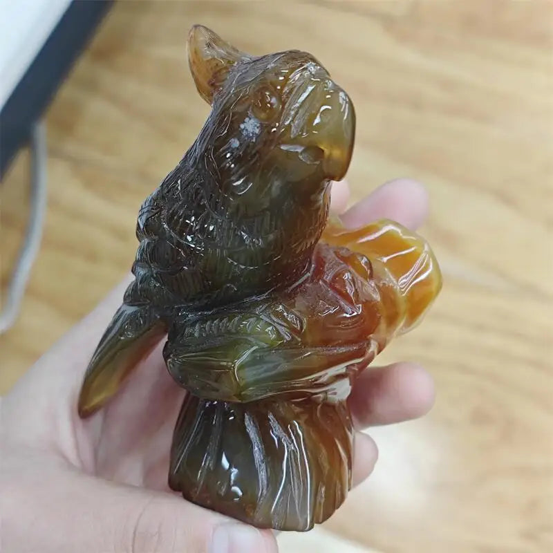Yellow Agate Geode Parrot-ToShay.org