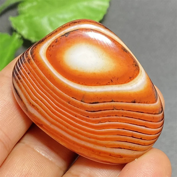 Orange Silk Lace Agate-ToShay.org
