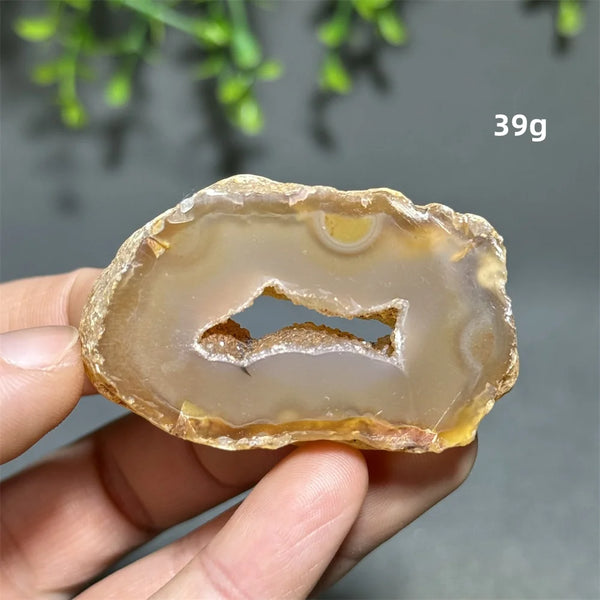Yellow Agate Slice-ToShay.org