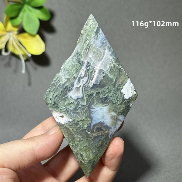 Green Aquatic Plant Agate-ToShay.org