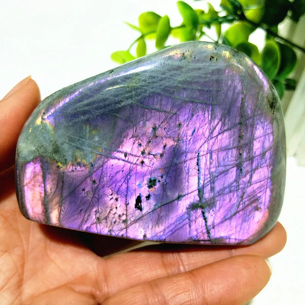 Violet Labradorite Crystal-ToShay.org