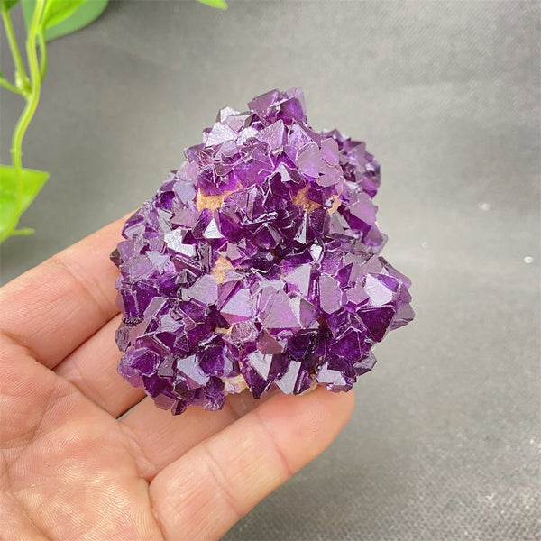 Purple Amethyst Crystal-ToShay.org