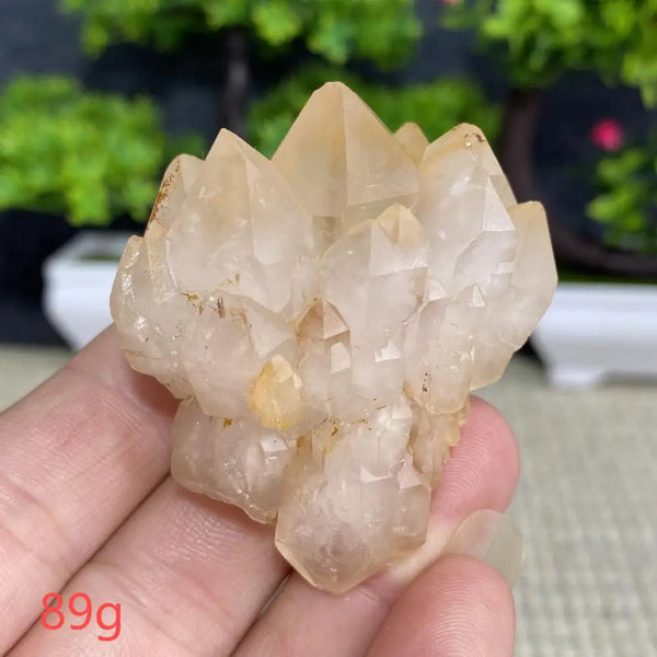 White Quartz Crystal Cluster-ToShay.org