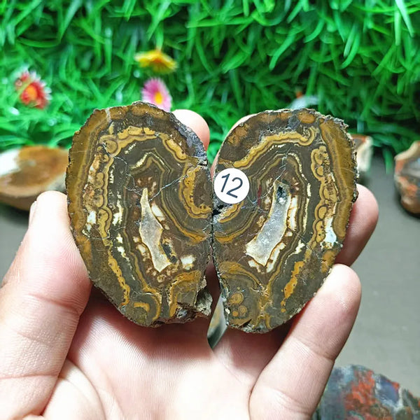 Mixed Agate Quartz Crystal-ToShay.org