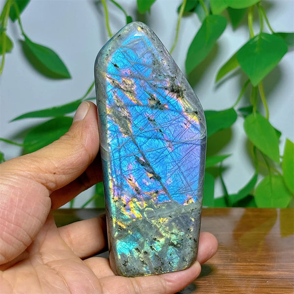 Purple Labradorite Crystal-ToShay.org