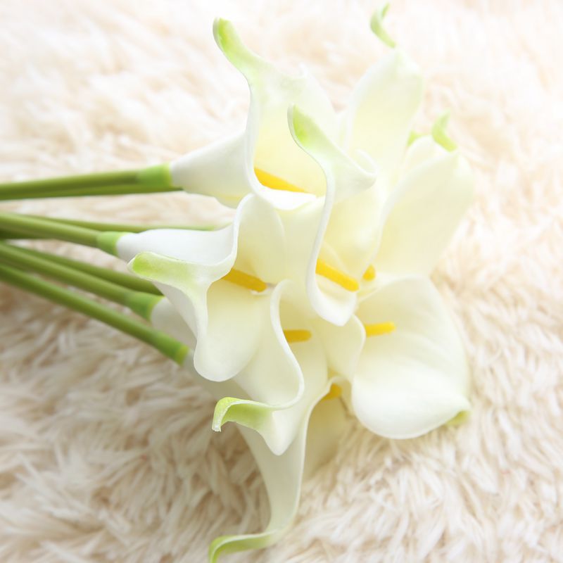 Calla Lily Stem Flower-ToShay.org