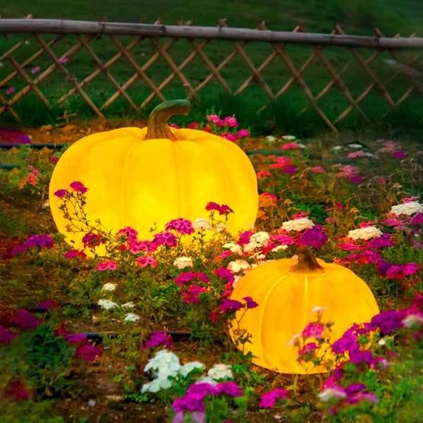 Pumpkin Garden Lights-ToShay.org