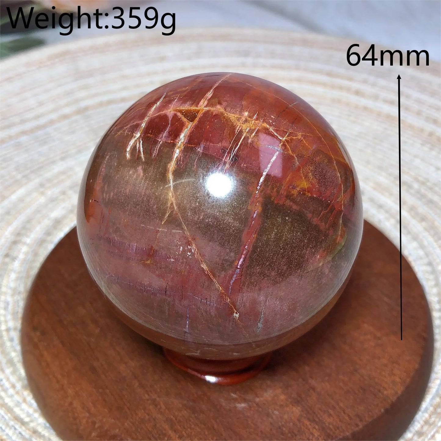 Brown Petrified Wood Ball-ToShay.org