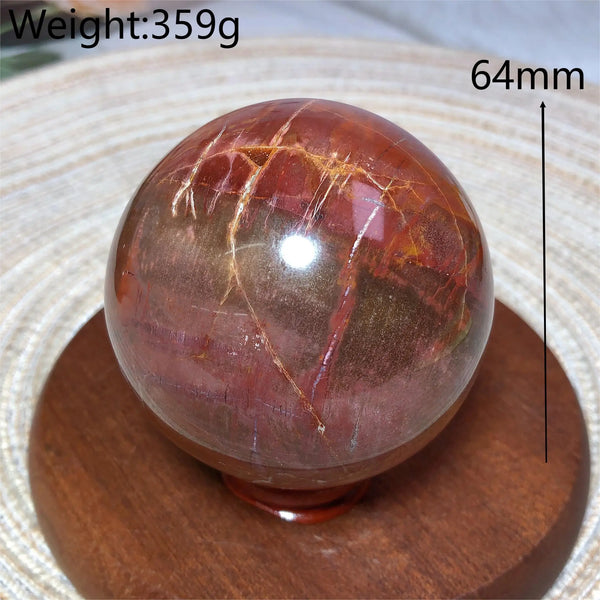Brown Petrified Wood Ball-ToShay.org