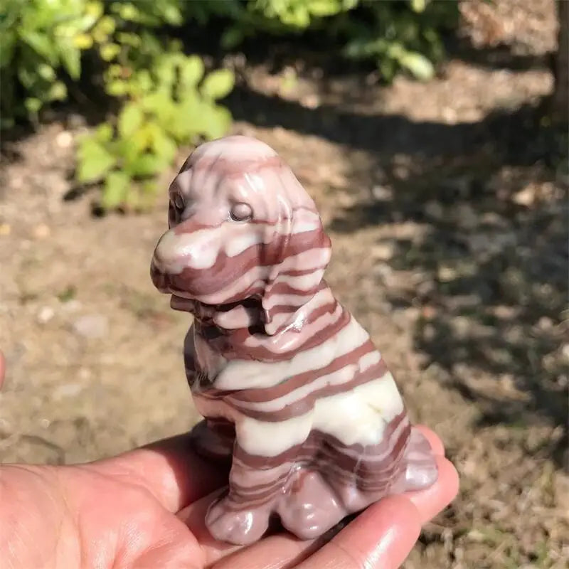 Red Stripe Dog-ToShay.org