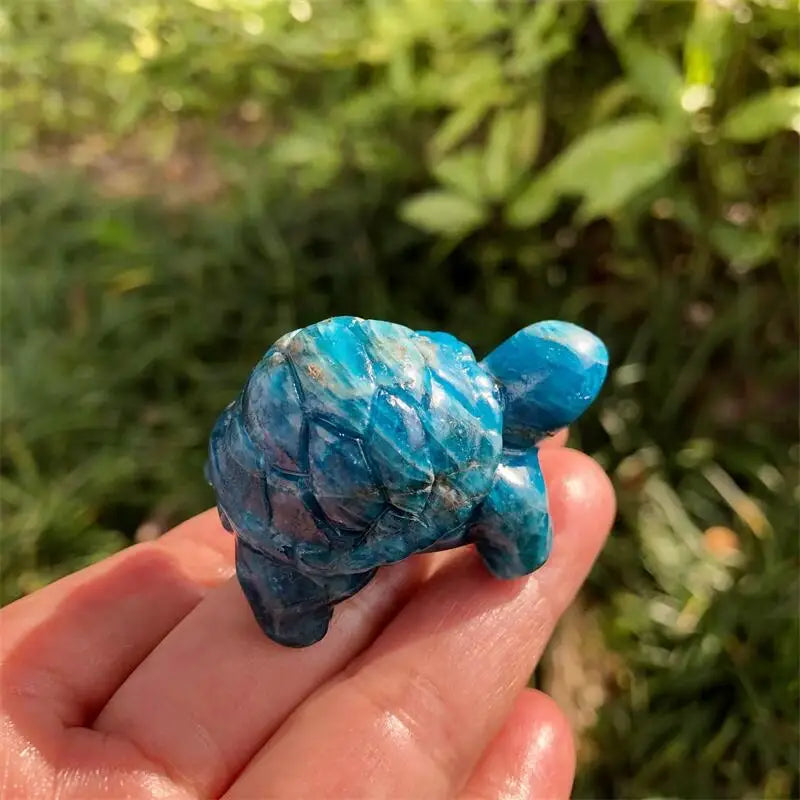 Blue Apatite Tortoise-ToShay.org