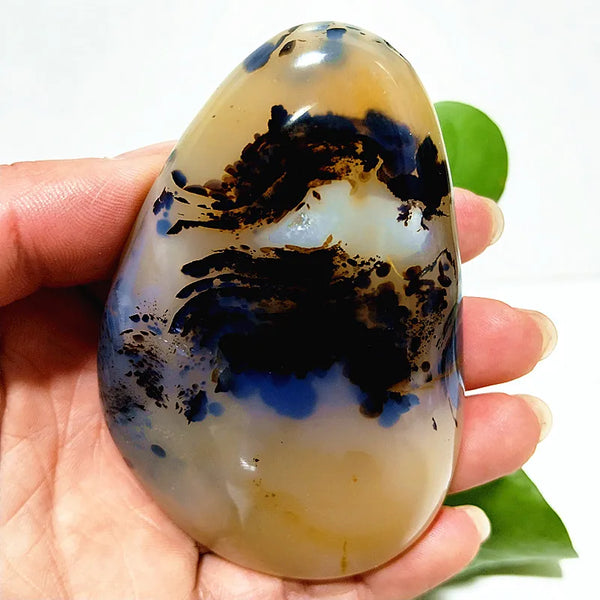 Yellow Blue Water Plant Agate-ToShay.org