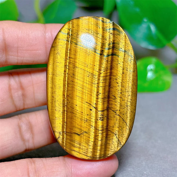 Blue Yellow Tiger Eye-ToShay.org