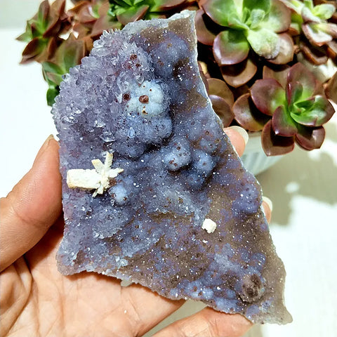 Purple Vision Mineral Cluster-ToShay.org