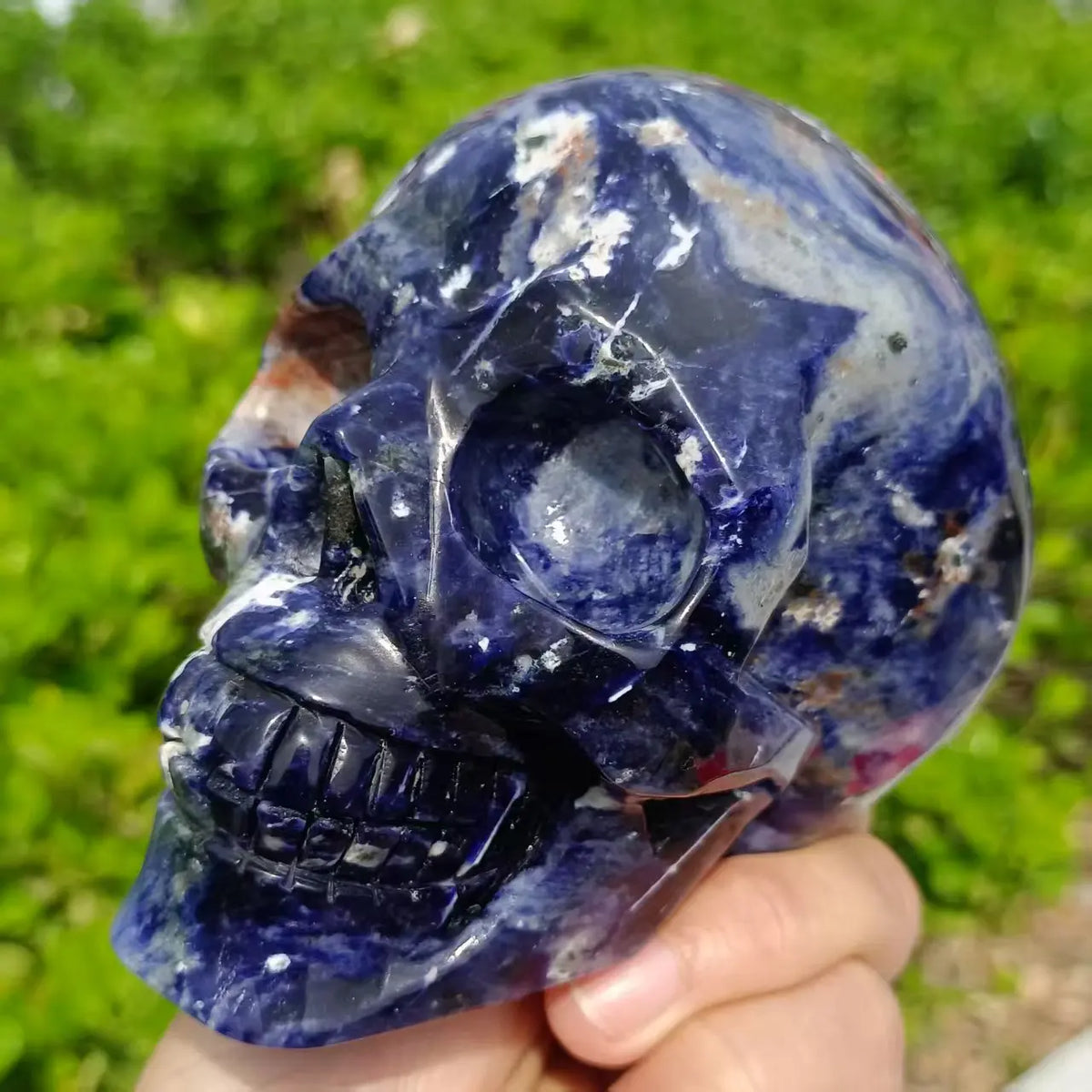 Blue Sodalite Skull-ToShay.org